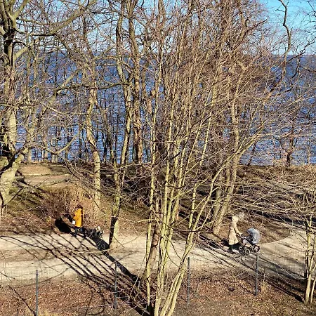 W Parku Nad Zatoka Daire