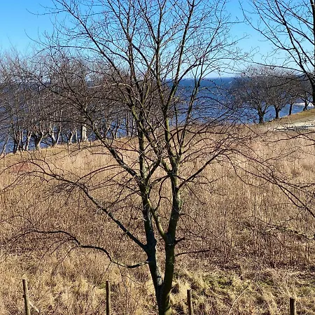 W Parku Nad Zatoka Daire