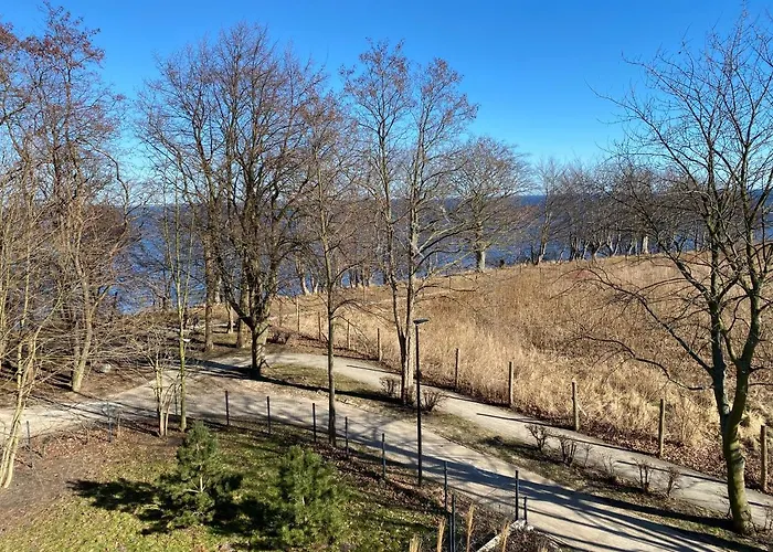 W Parku Nad Zatoka Daire