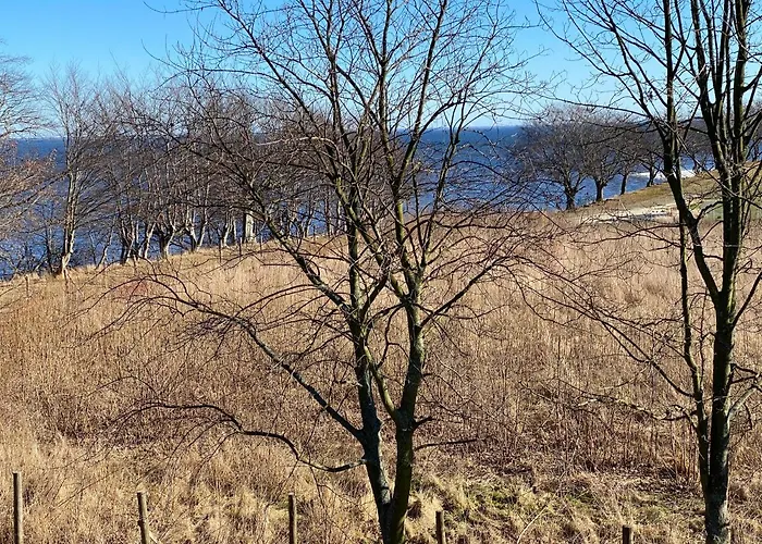 W Parku Nad Zatoka Daire